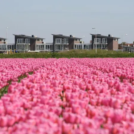 Lejlighed Het Strandleven Met Sauna Groote Keeten